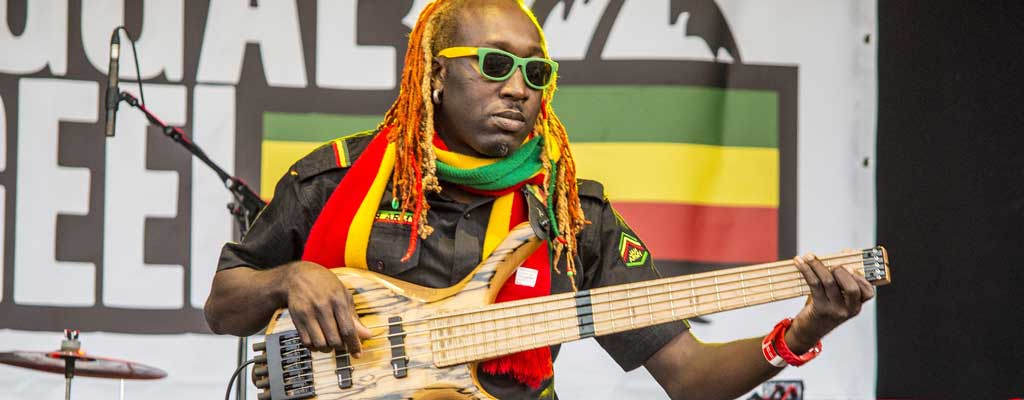Reggae-Musik Keyvisual