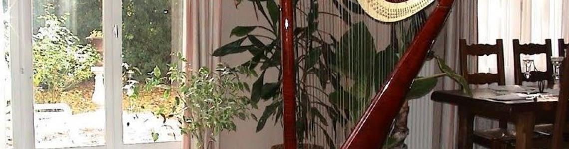 CAMAC Atlantide harp 47 strings CAMAC Atlantide harp 47 strings