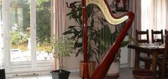 CAMAC Atlantide harp 47 strings CAMAC Atlantide harp 47 strings