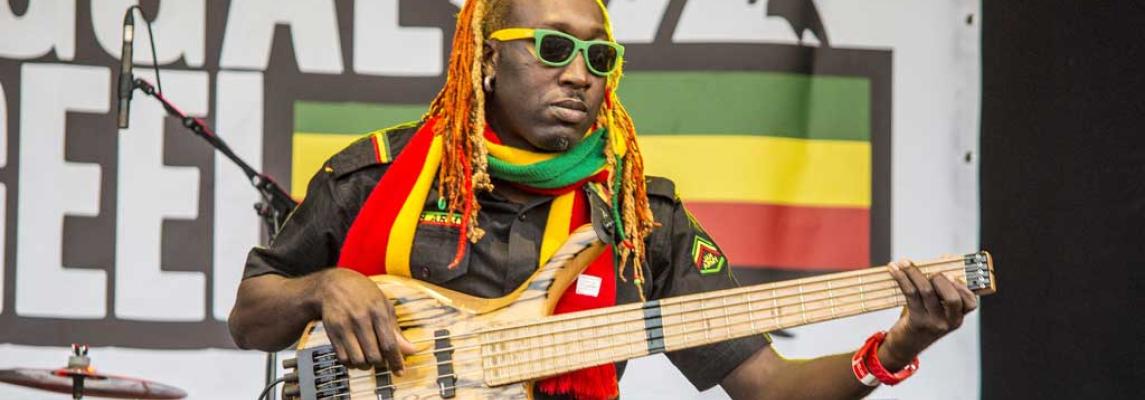 Reggae-Musik Keyvisual