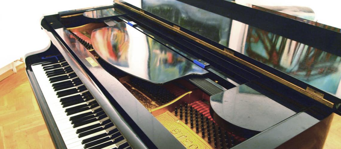 Juliane Steinwachs-Zeil