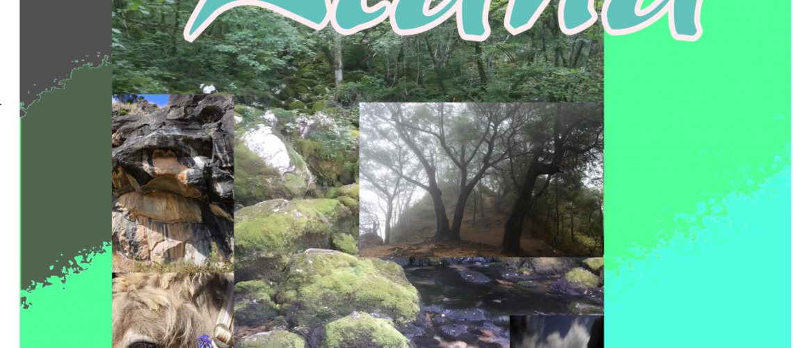 Liana Album mit 10 Songs