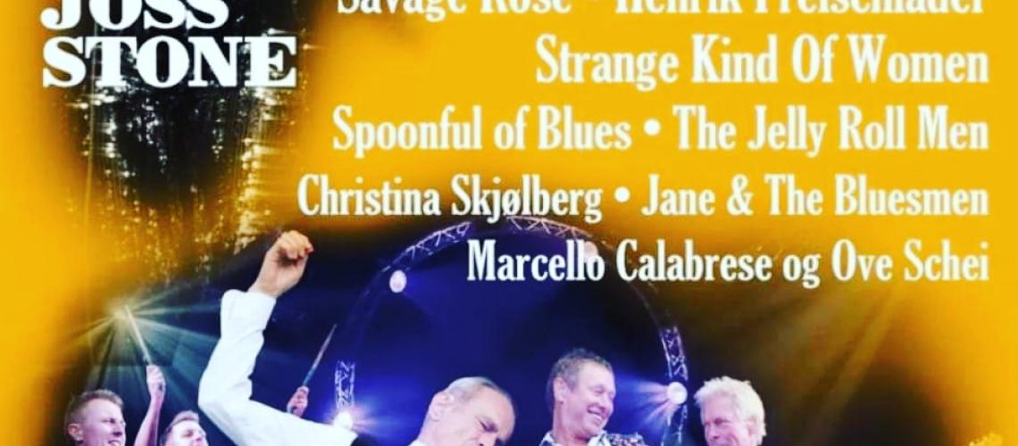 Ich beim Dalane Festival in Norwegen, mein Name ist neben Status Quo und Joss Stone lesbar