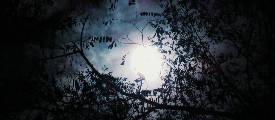 Jaro - Open the Gate